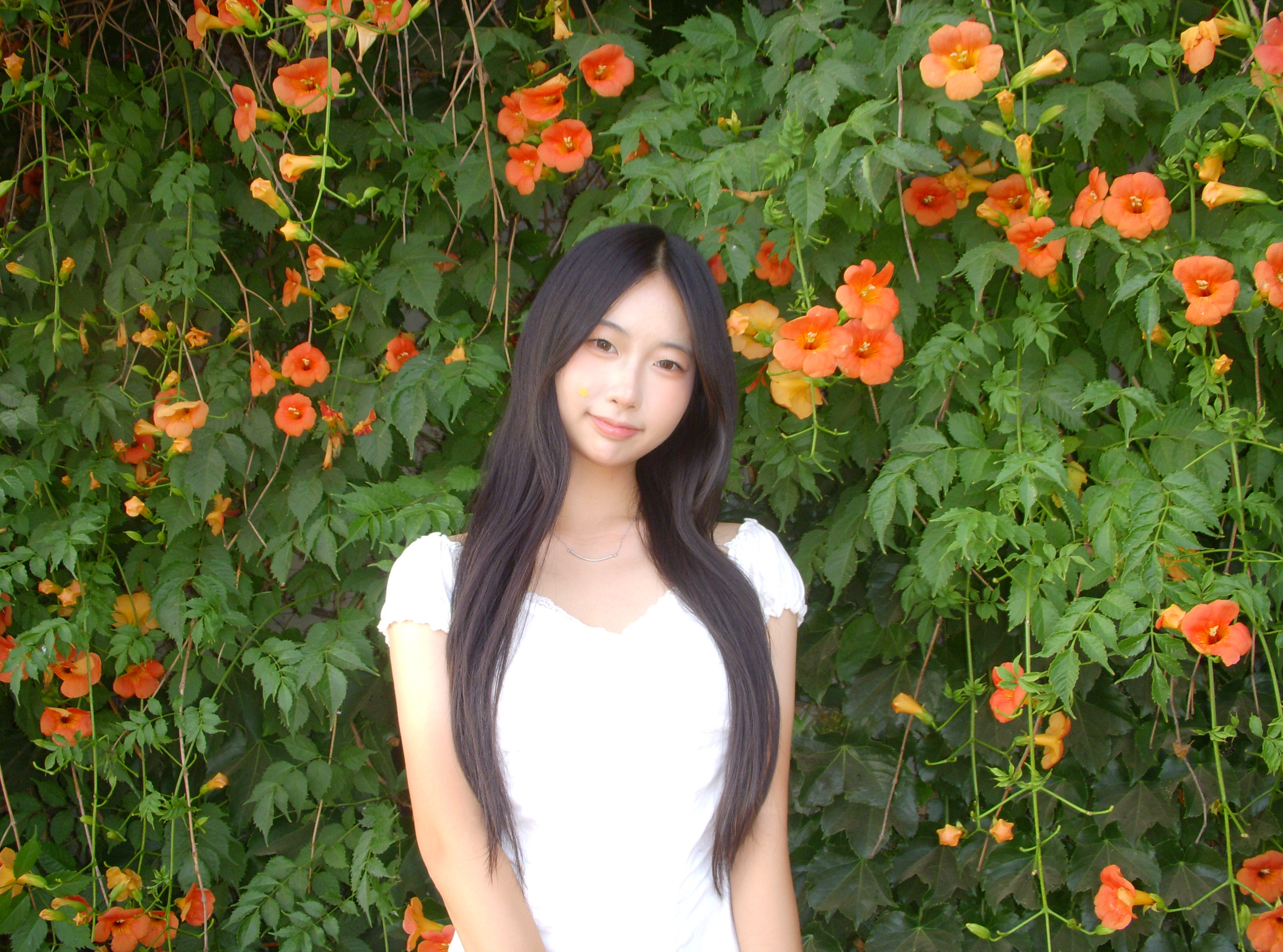 Rachel Lee
